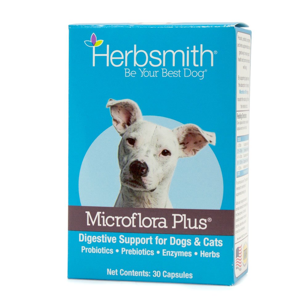 Herbsmith Microflora Plus Probiotics for Dogs – Digestive Enzymes & Prebiotics Supplement – 30 Capsules – Supports Gut Health & Digestion – Ideal for Sensitive Stomachs & Dietary Transitions