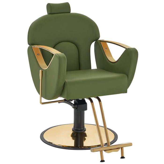 Gabriel Barber Chair - Professional Adjustable Salon Styling Chair for Hairdressers & Barbers - Perfect for Home & Salon Use