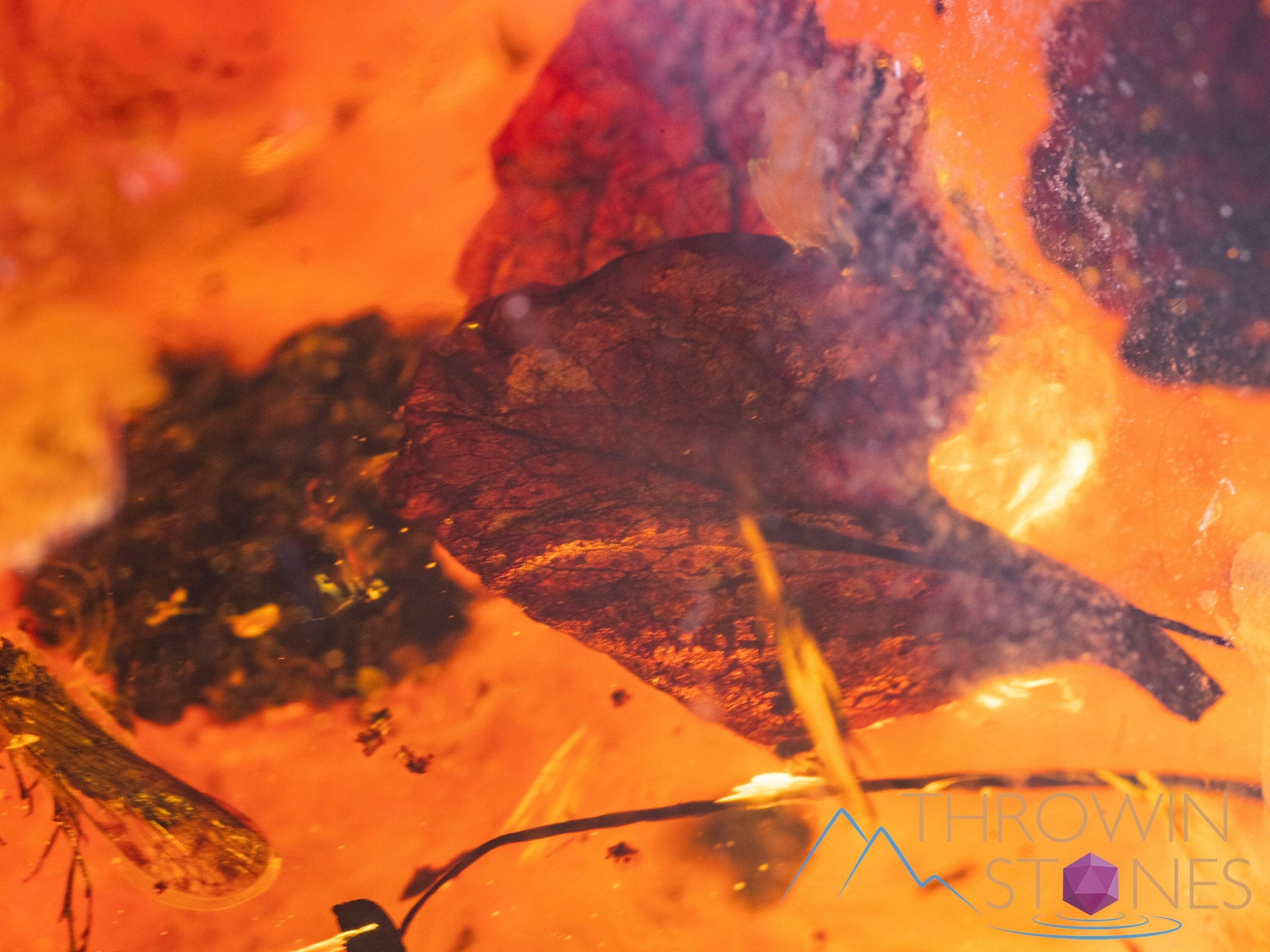 Natural Amber Stone with Insect Inclusion - Genuine Fossilized Tumbled Crystals for Healing & Collection | Perfect for Jewelry Making, Meditation & Home Decor