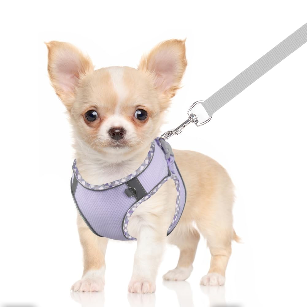 **No Pull Adjustable Dog Harness for Small & Medium Dogs - Reflective Breathable Mesh Puppy Harness & Leash Set with Soft Padded Vest (Purple, S) - Perfect for Walking, Training & Outdoor Adventures**