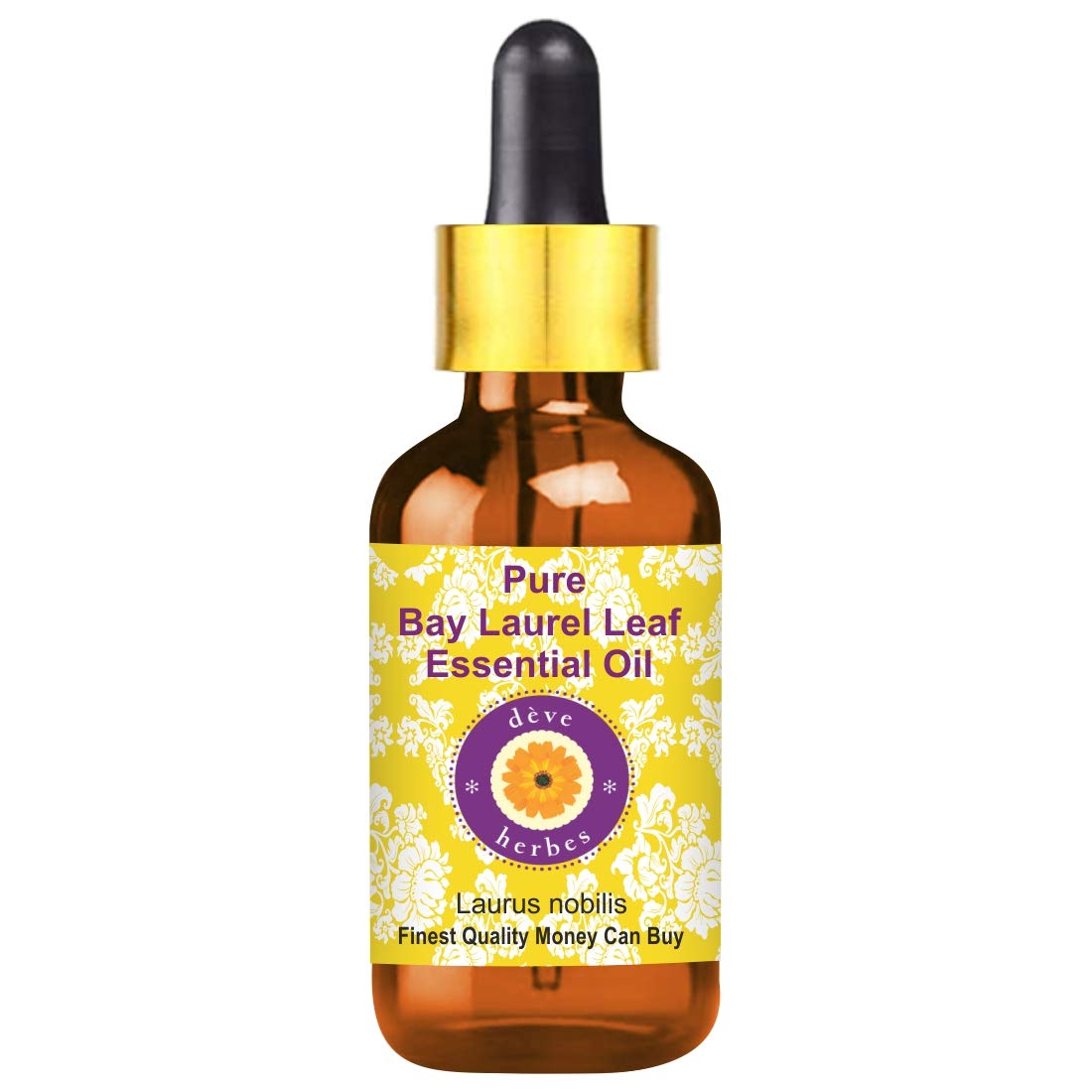 Pure Bay Laurel Leaf Essential Oil (Laurus Nobilis) - 10ml Steam Distilled with Glass Dropper for Aromatherapy, DIY Skincare & Home Fragrance
