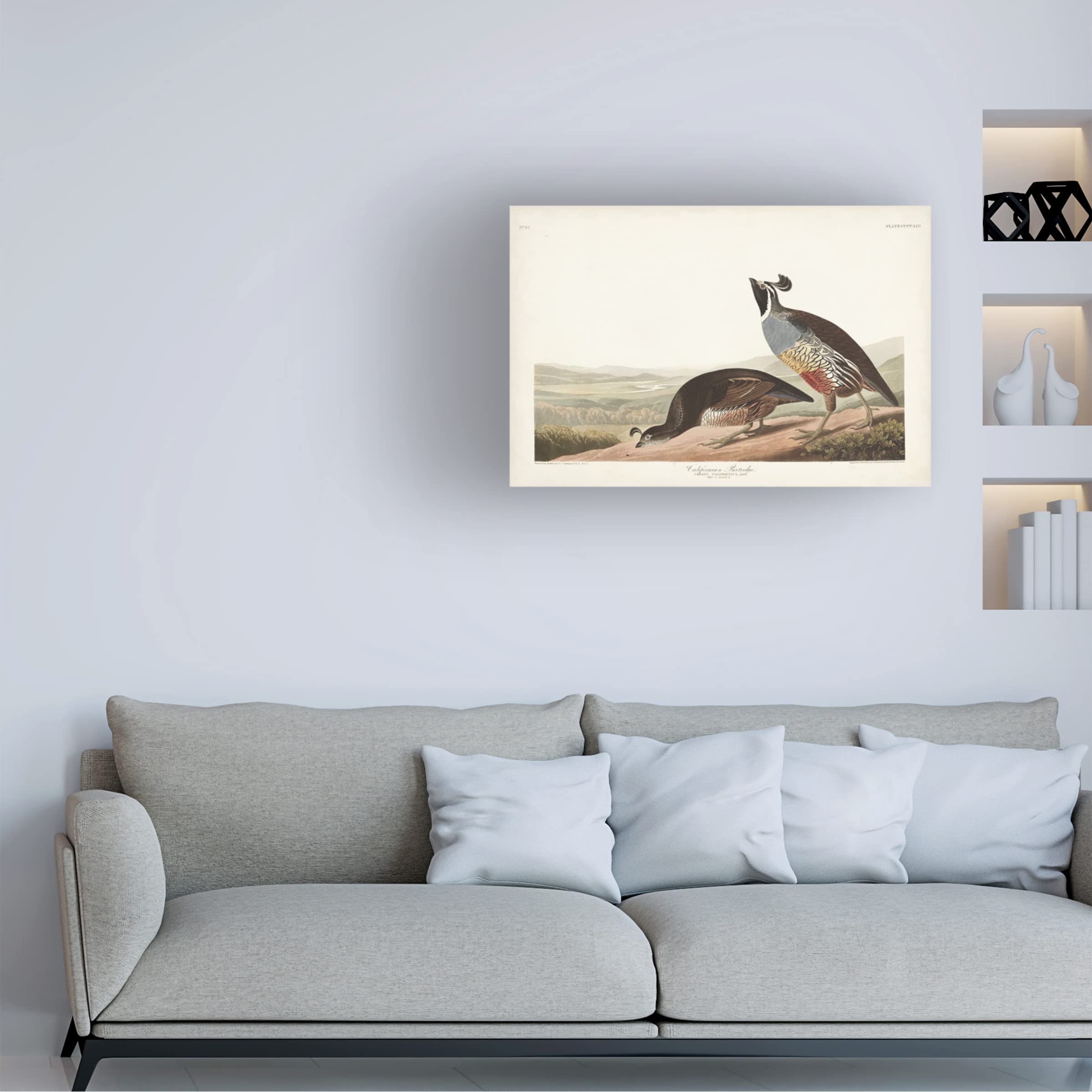 John James Audubon 'Californian Partridge' Canvas Wall Art Print - 30x47 Inches - Premium Wildlife Bird Painting for Home & Office Decor