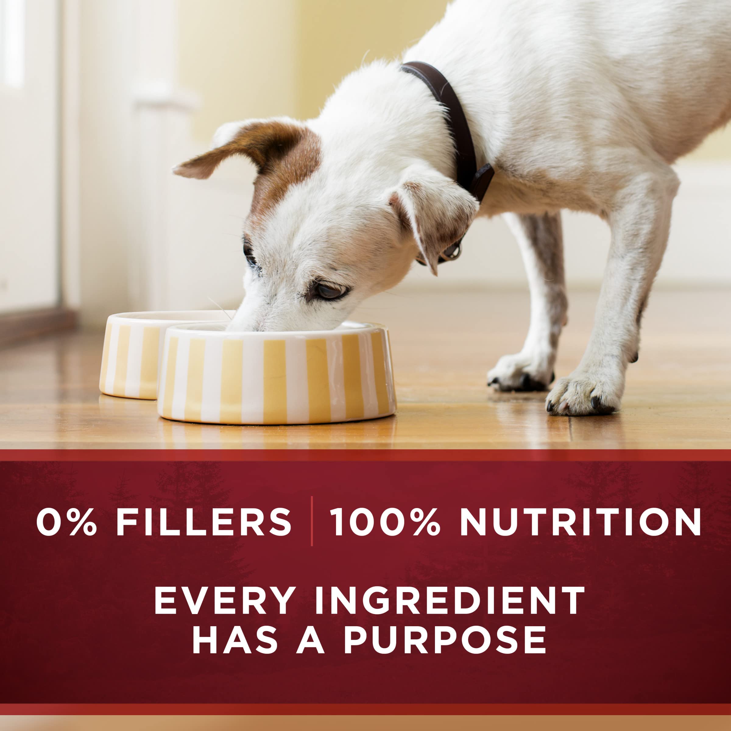 Purina ONE True Instinct Grain-Free Wet Dog Food Variety Pack - High Protein with Real Turkey, Venison, Chicken & Duck (6 Pack, 13 oz Cans) | Premium Nutrition for Active Dogs & Puppies | Perfect for Training Rewards, Meal Toppers & Outdoor Adventures