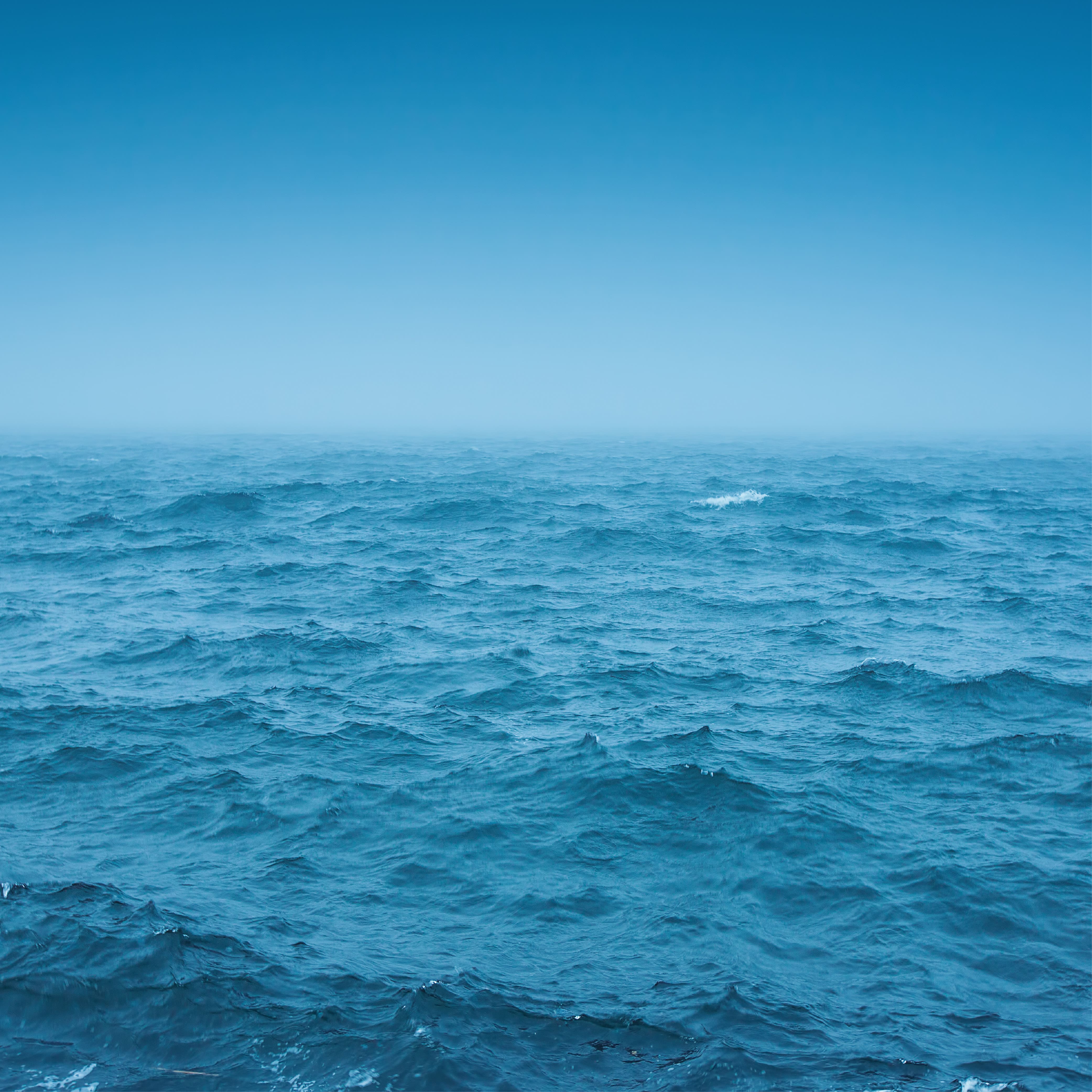 NO. 56 Ocean Rain Fragrance Oil for Cold Air Diffusers - Aromatherapy Essential Oil for Home, Office & Spa Relaxation