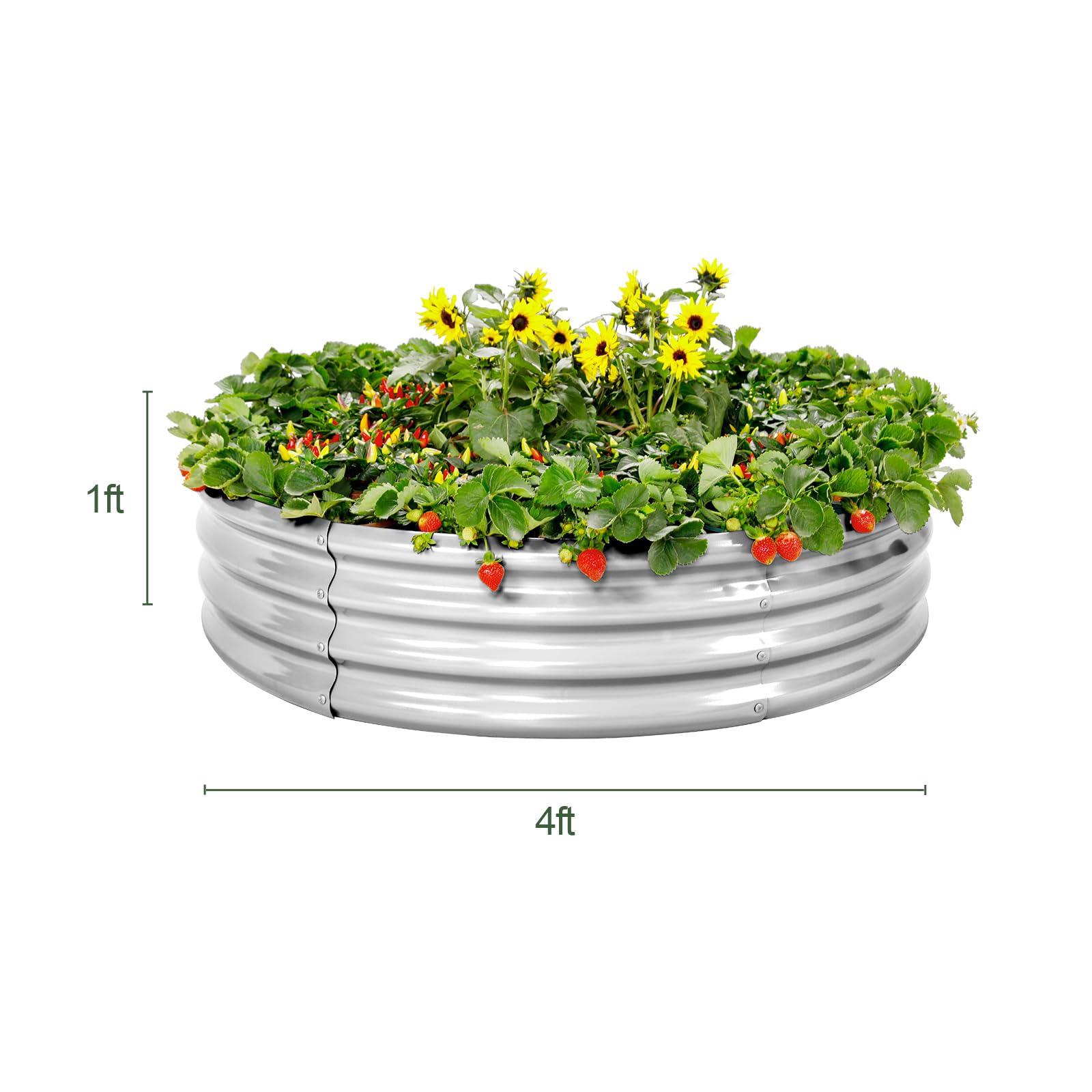 Galvanized Raised Garden Bed Kit - 2 Pack 4x4x1ft Outdoor Planter Box for Vegetables, Herbs & Flowers | Durable Metal Garden Beds for Backyard, Patio & Urban Gardening | Easy Assembly & Rust-Proof Design