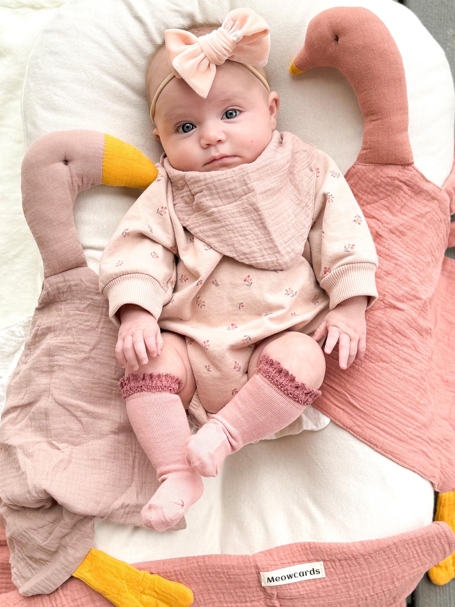 Soft Goose Lovey Blanket - Sensory Stuffed Animal Security Blanket for Newborns 0-6 Months | Baby Essentials for Boys & Girls | Roman Green | Perfect for Nursery, Stroller & Travel Comfort