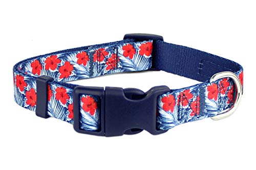 Hibiscus Blue