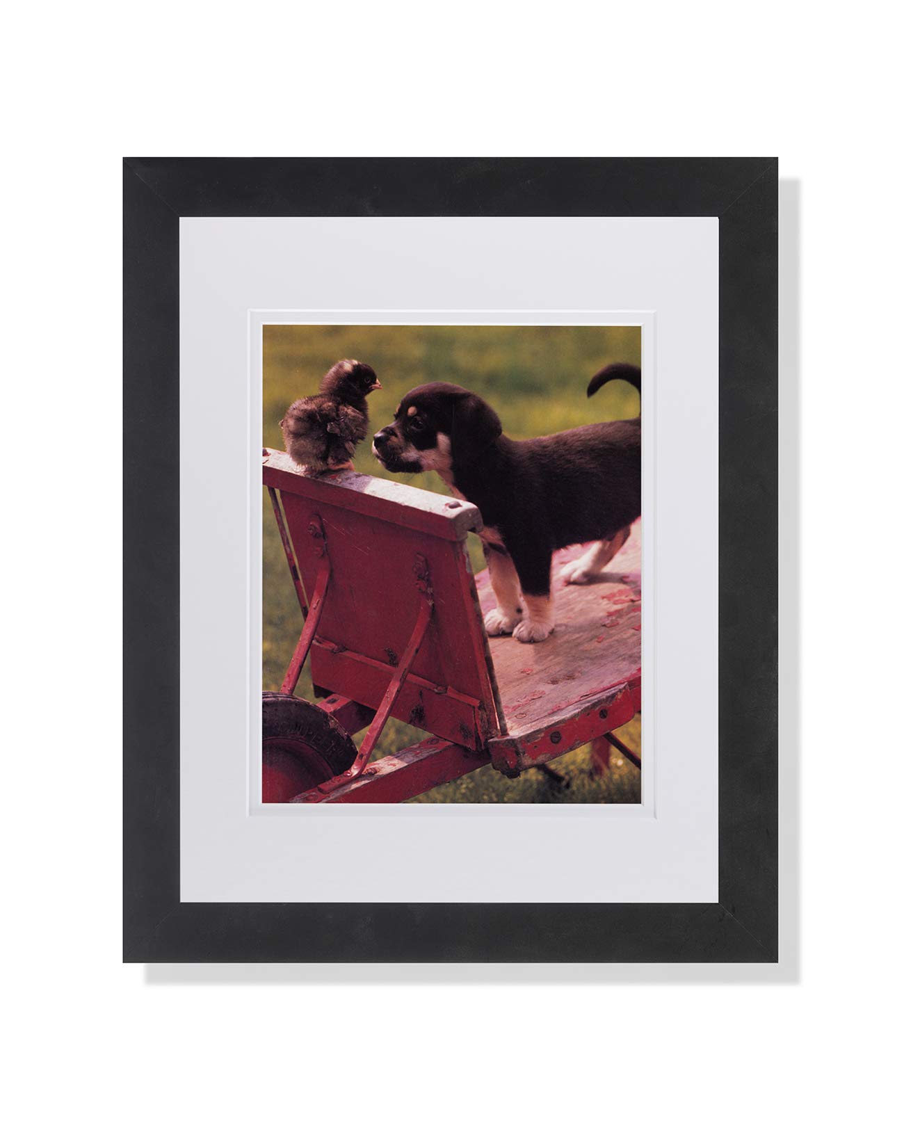 Adorable Puppy and Baby Chicken Sitting on Wheelbarrow - Framed Wall Art Print with Mat - Perfect for Nursery, Kids Room Decor & Farmhouse Style Home