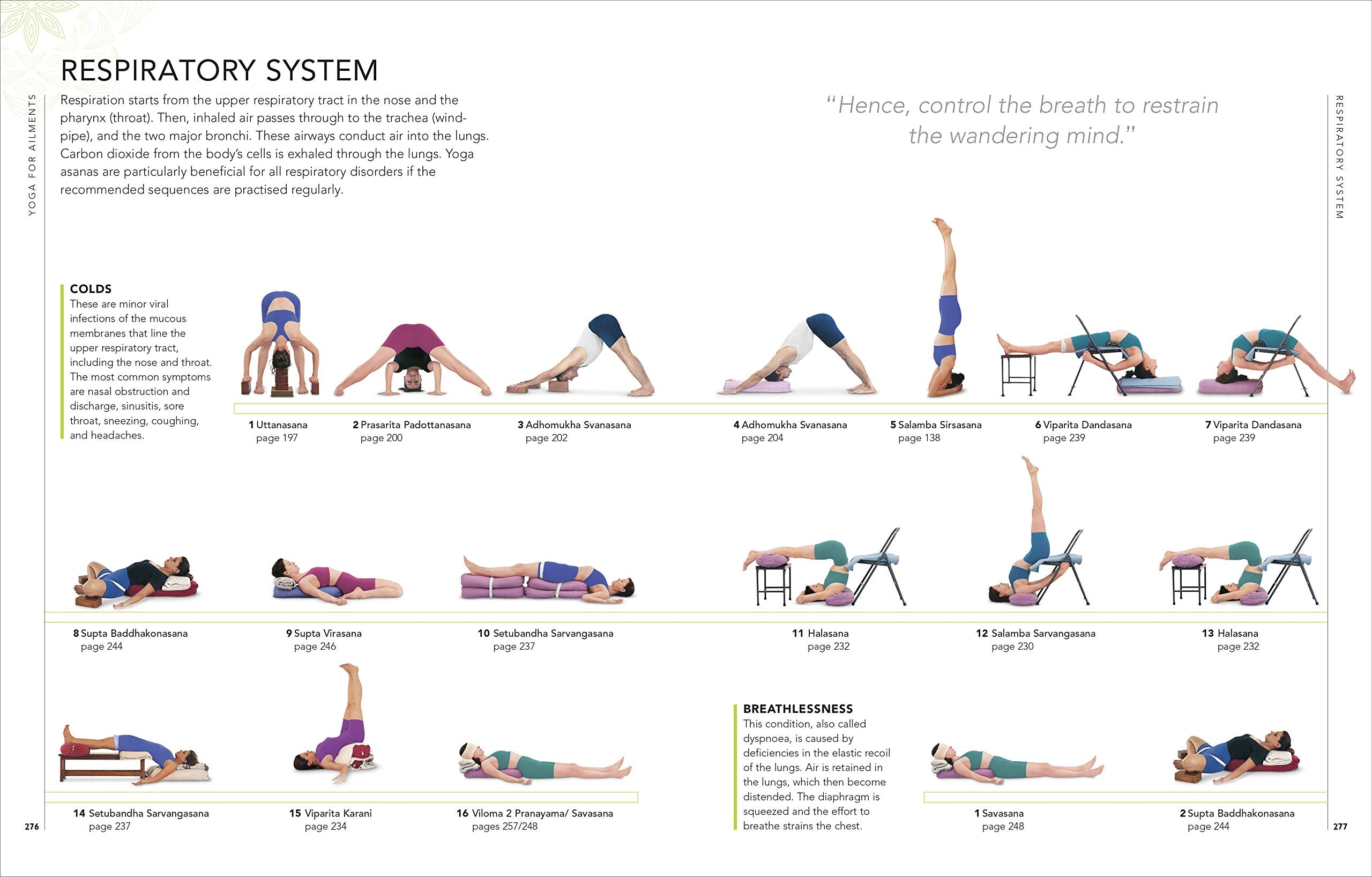 B.K.S. Iyengar Yoga: The Path to Holistic Health - Definitive Step-by-Step Guide (Hardcover) | Perfect for Home Practice, Yoga Studios & Wellness Retreats