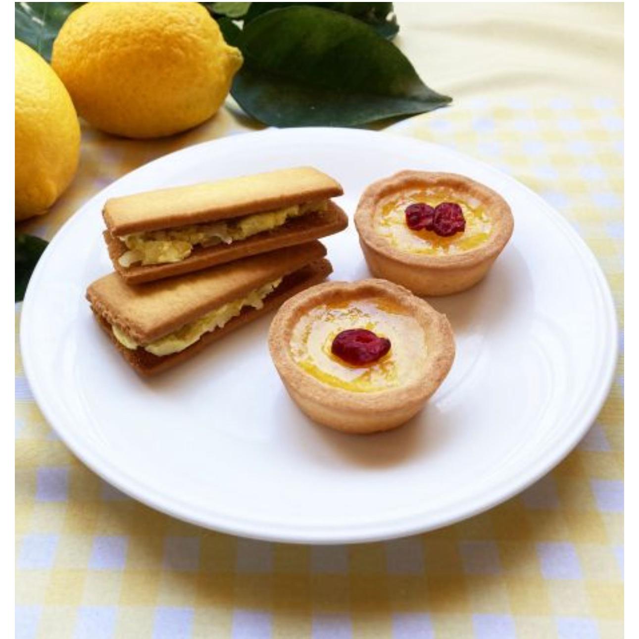 Lemonica Tart Lemonade Dessert - Pack of 10 | Refreshing Summer Treat for Parties, Picnics & BBQs | Sweet & Tangy Flavor