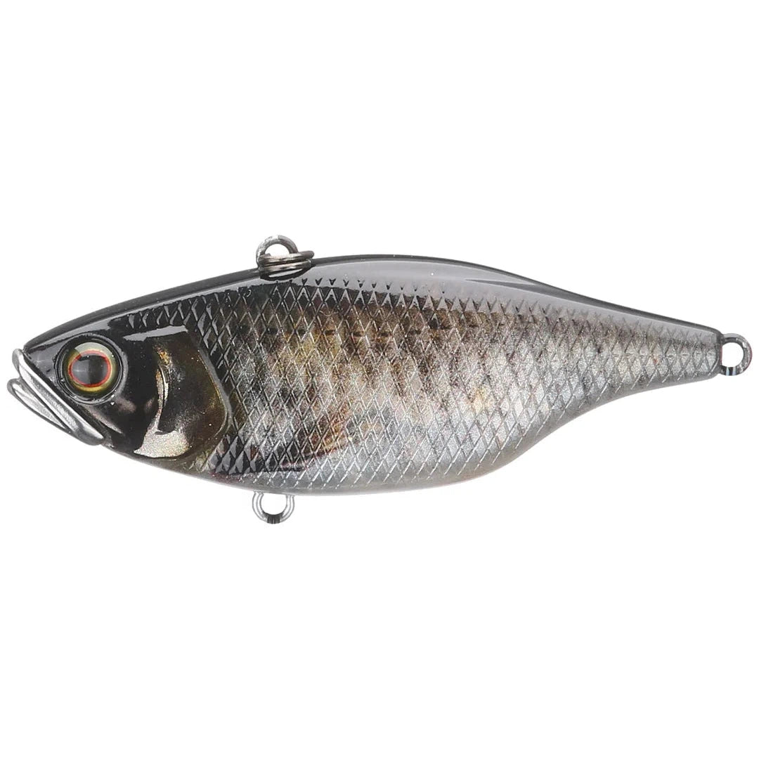 Ghost Minnow