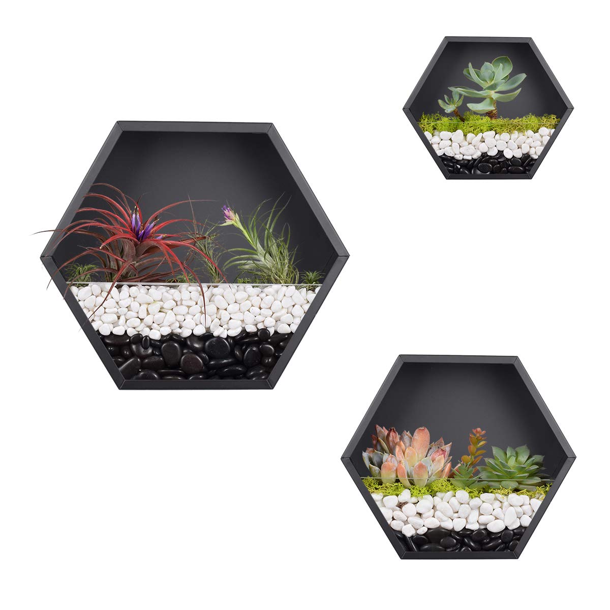Hexagon Hanging Wall Planter Set of 3 - Metal Geometric Air Plant Holder, Vintage Flower Pot & Succulent Container - Black Iron Vase for Home Decor (Living Room, Bedroom, Office, Balcony)
