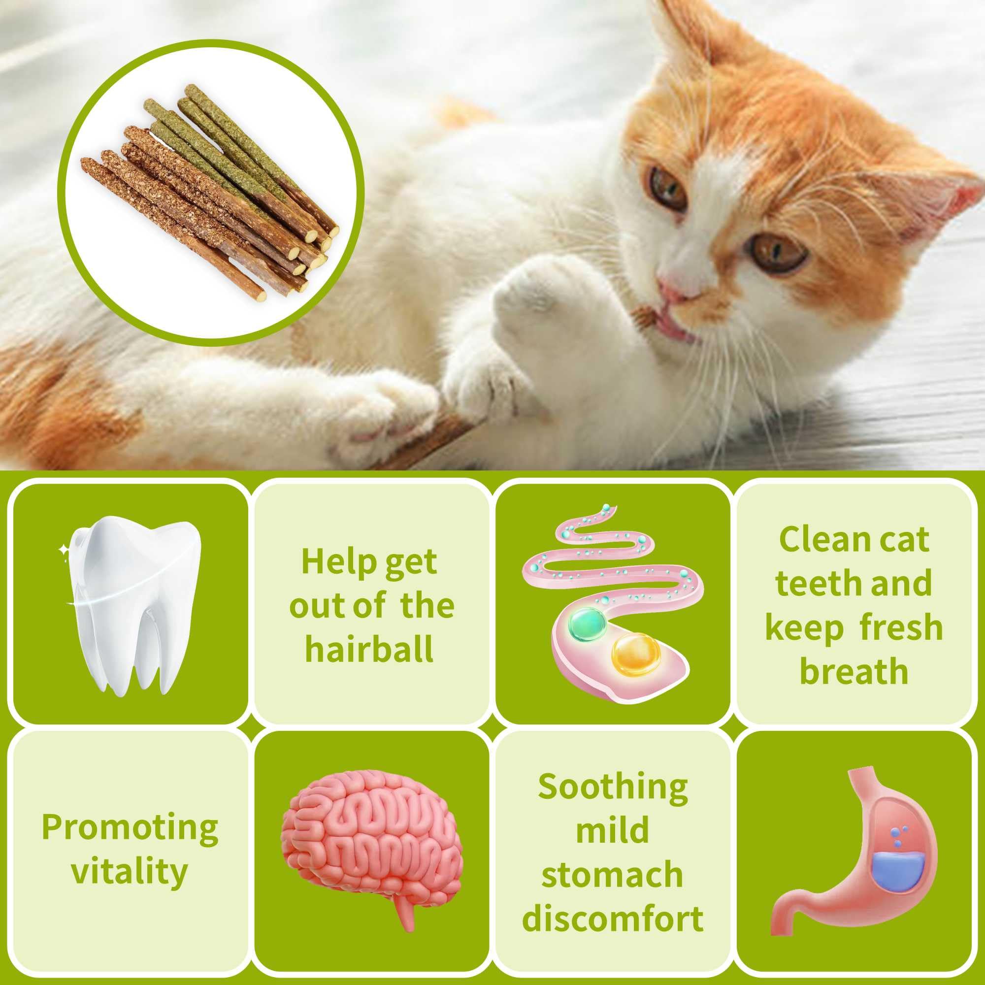 12 Pack Natural Silvervine Cat Chew Sticks - Catnip Dental Treats for Teeth Cleaning, Kitten Teething Toys & Edible Kitty Chew Toys - Perfect for Indoor Cats & Playtime Enrichment