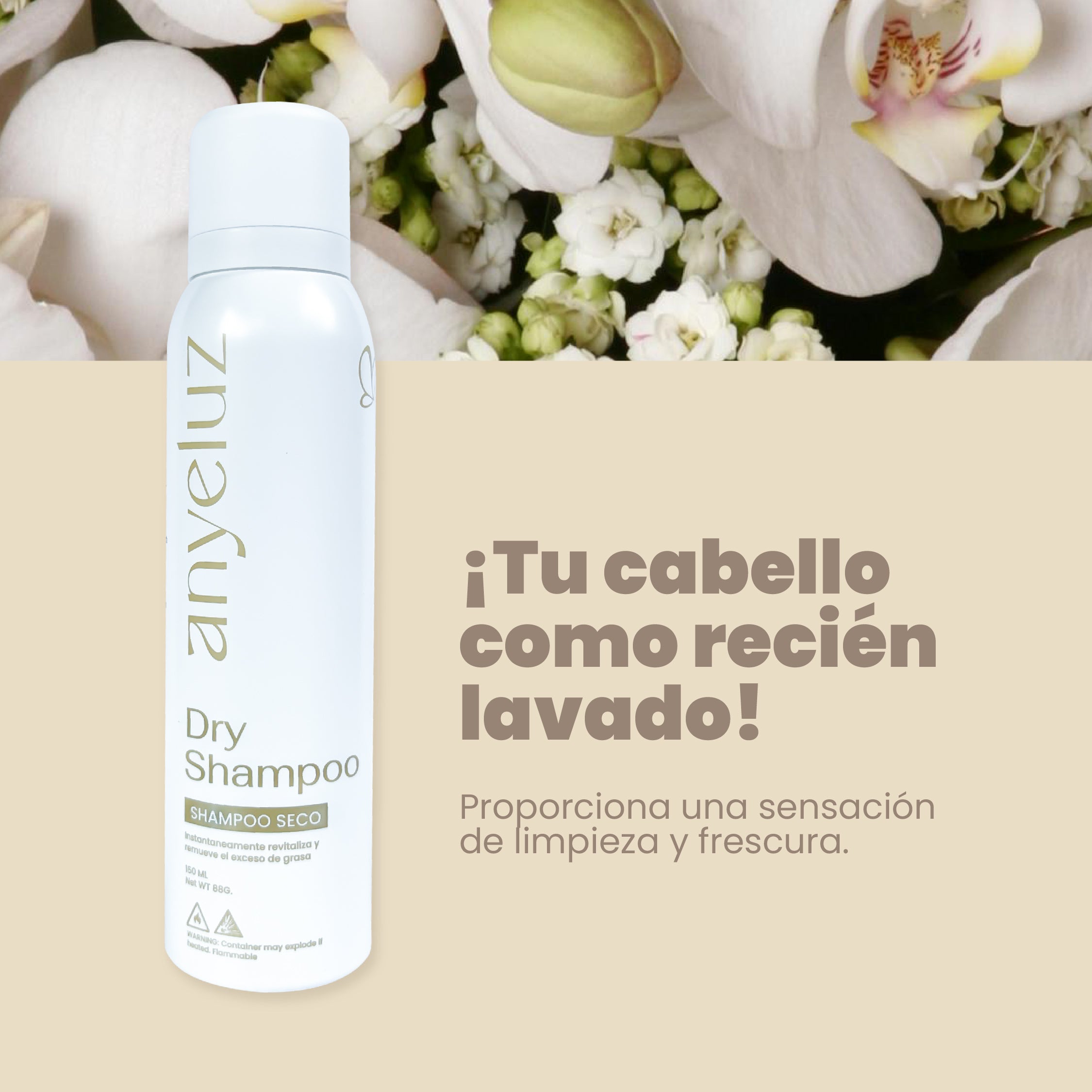Anyeluz Dry Shampoo for Oily Hair - Volumizing & Refreshing Spray - Quick Cleanse Between Washes - Perfect for Travel, Gym & Busy Lifestyles