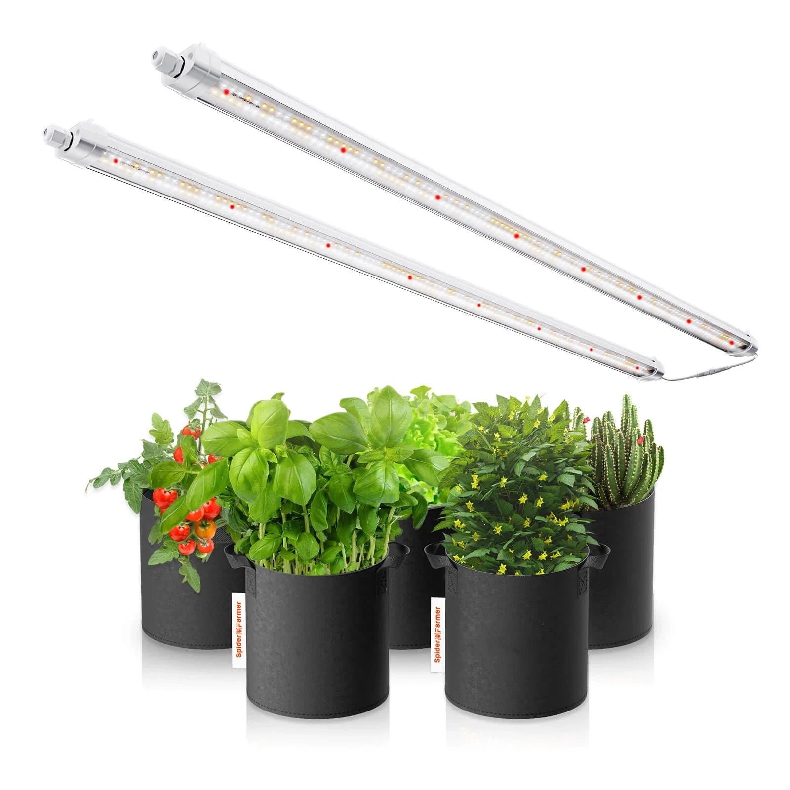 Spider Farmer Glow80 LED Grow Light for Indoor Plants - Full Spectrum Veg Bar with High Efficiency - Perfect for Hydroponics, Greenhouses & Home Gardening