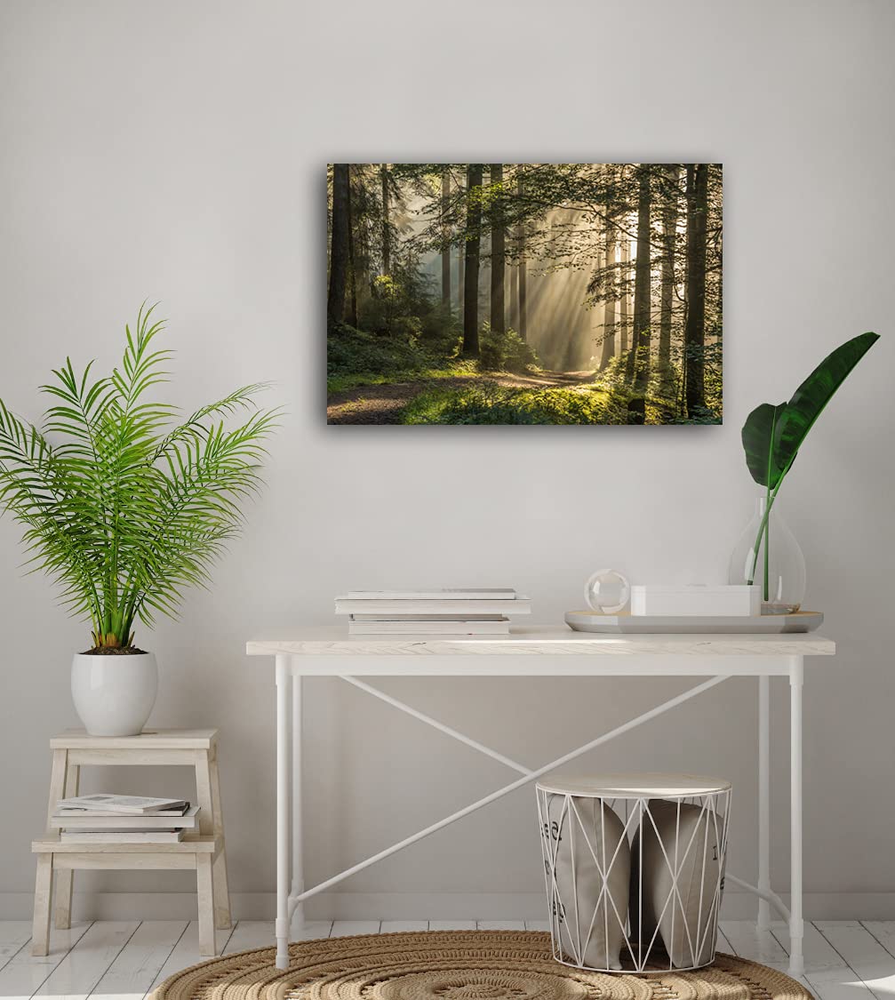 Morning Walk Photography Canvas Art - 30x40 Inches, Nature Landscape Wall Decor for Living Room, Bedroom & Office - Premium C-30402013 Print