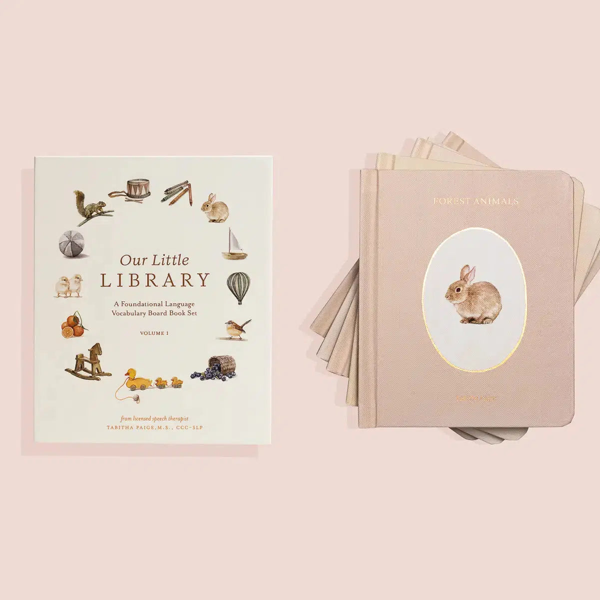 Paige Tate & Co. Our Little Library Box Set Vol. 1 - 5 Board Books for Babies & Toddlers, Early Learning Gift Set for Newborns, Perfect for Baby Showers, Nursery Decor & First Birthday Gifts