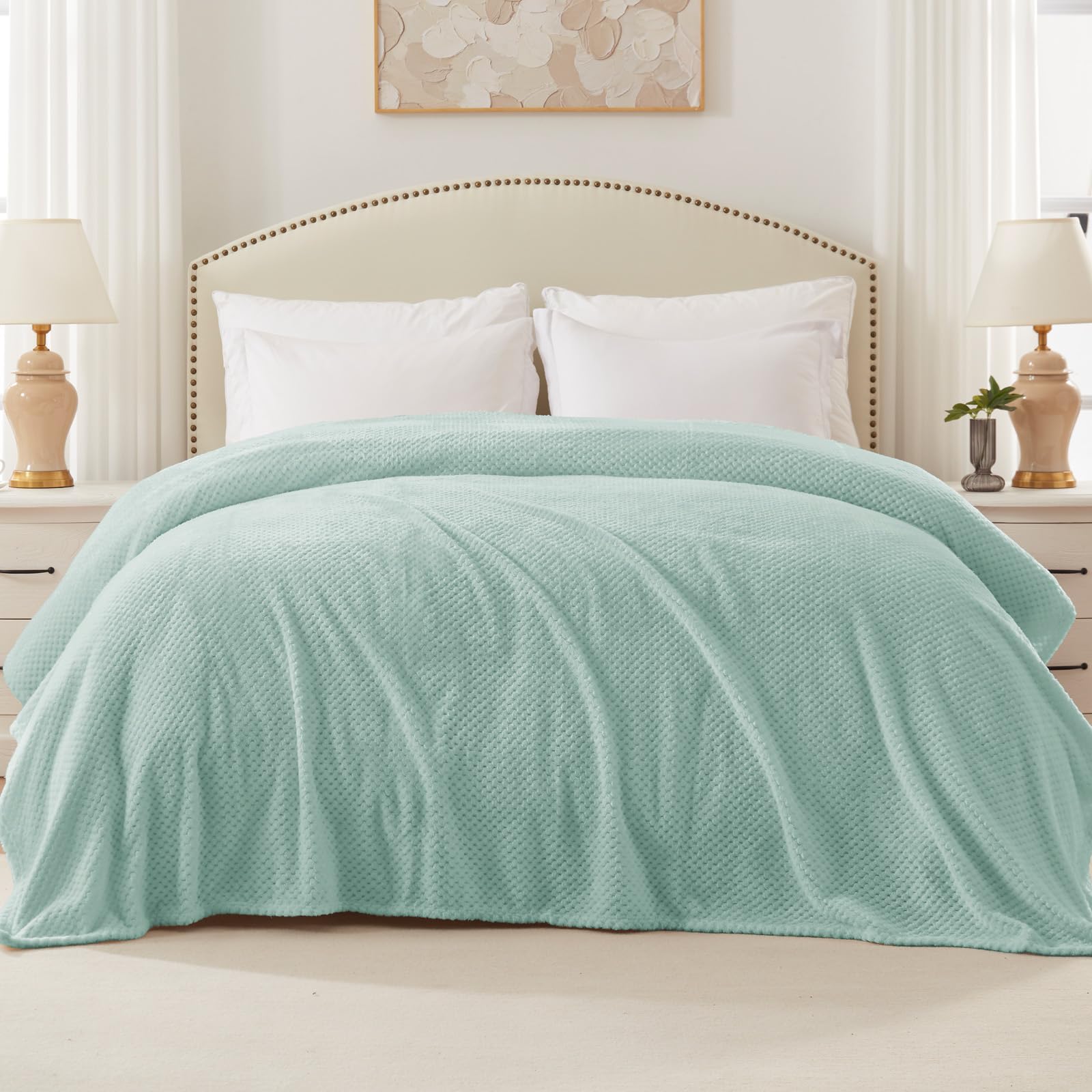 Exclusive Fleece Blend Waffle Textured Blanket - Twin Size (90x66 Inches) | Super Soft, Warm & Lightweight | Perfect for Couch, Sofa & Bed | Cozy Home Decor in Mint Green | Ideal for Lounging, Movie Nights & Winter Comfort