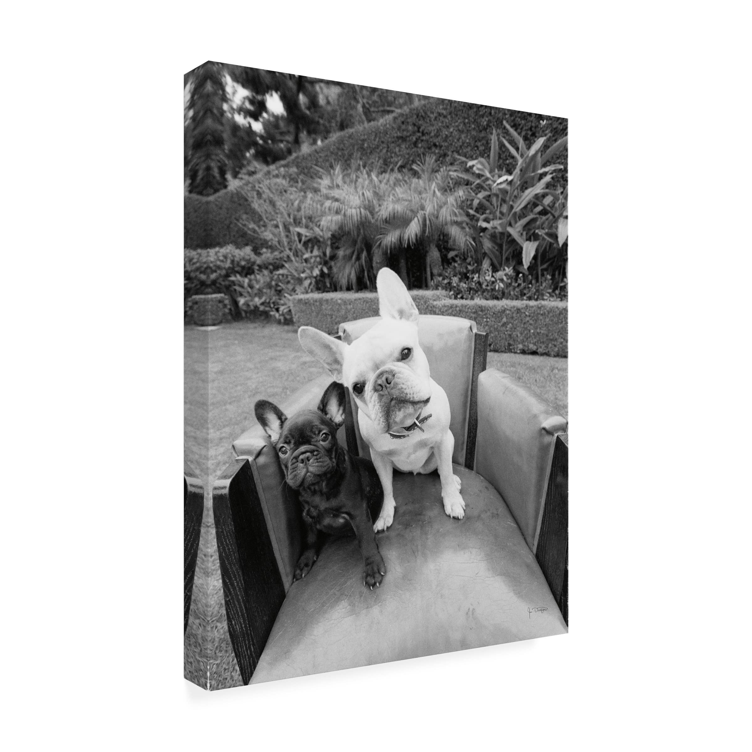 Trademark Fine Art 'Always Friends' Canvas Art by Jim Dratfield - Dog and Cat Friendship Wall Decor for Living Room, Bedroom & Office
