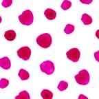 Polka Dot 20