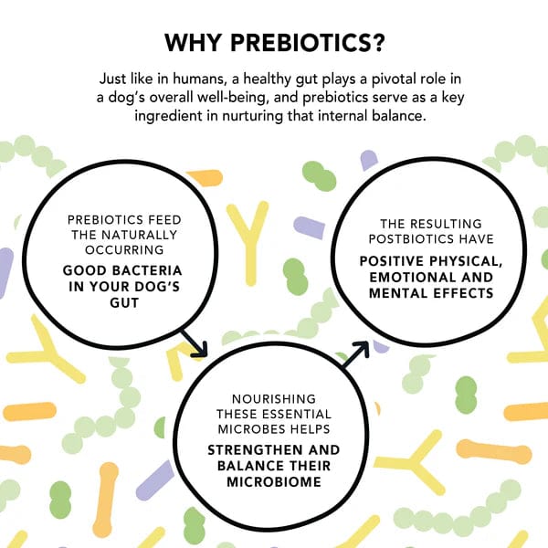 Crump's Naturals Gutsy Calm Bites for Dogs – Natural Stress & Anxiety Relief Chews – Special Order Item – Perfect for Travel, Vet Visits & Thunderstorms