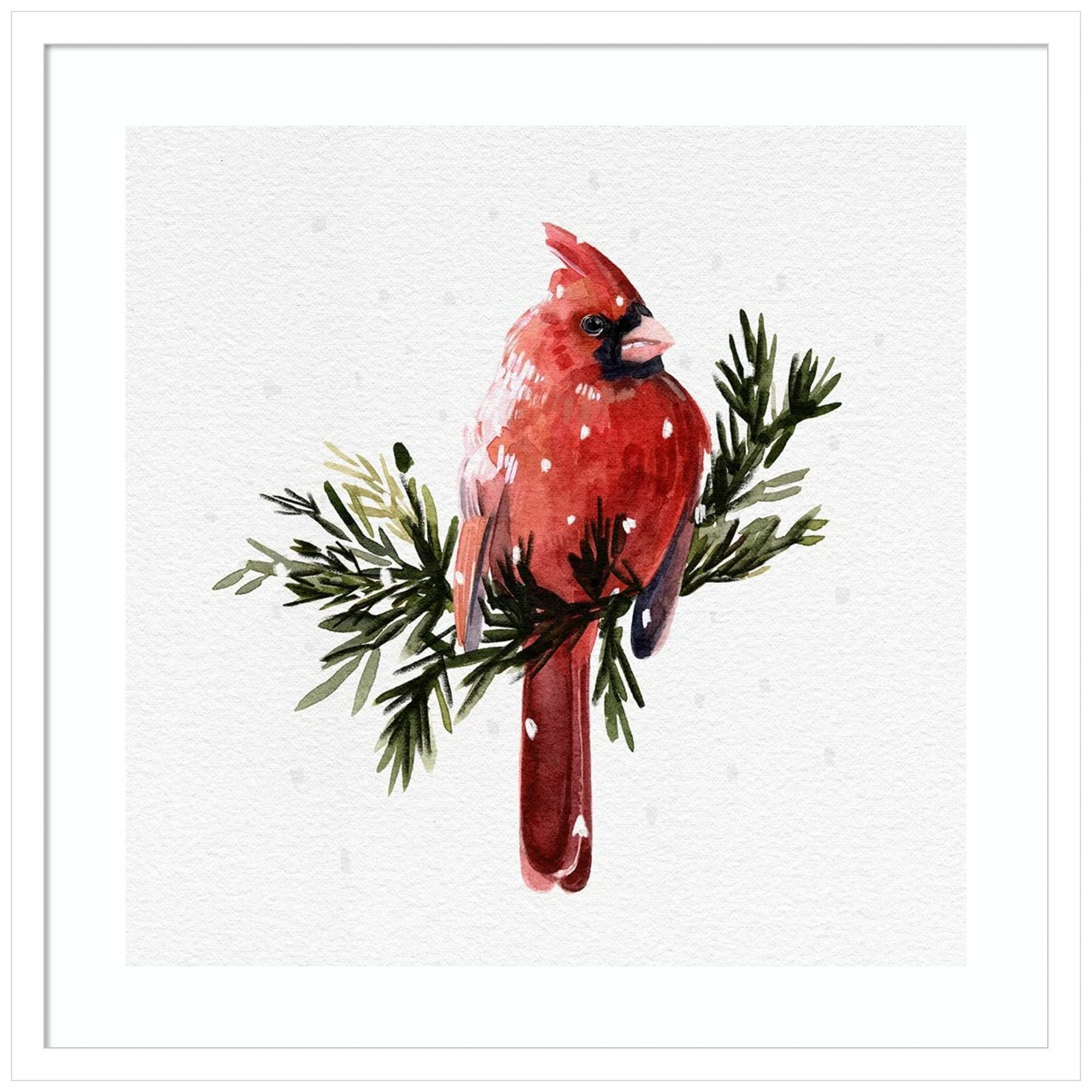Emma Caroline Cardinal with Snow Wood Framed Wall Art Print - 25x25 Inches, Svelte White Frame - Perfect for Living Room, Bedroom & Office Decor