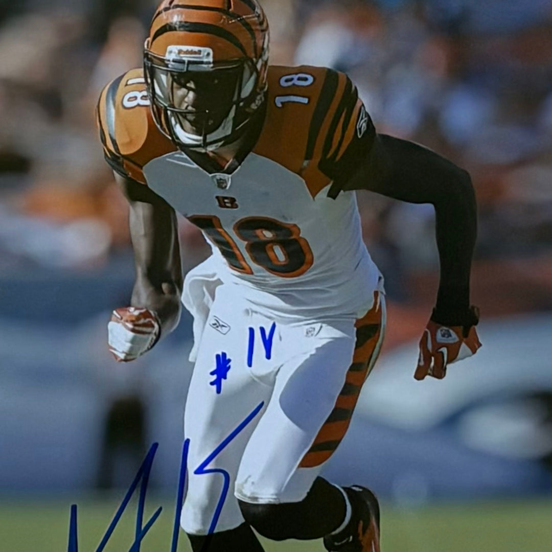 AJ Green Autographed Cincinnati Bengals 8x10 Football Photo - Hand Signed & Framed - Perfect for Sports Memorabilia Collectors and Bengals Fans Display