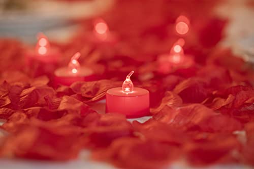 Red Lights with Red Rose Petals
