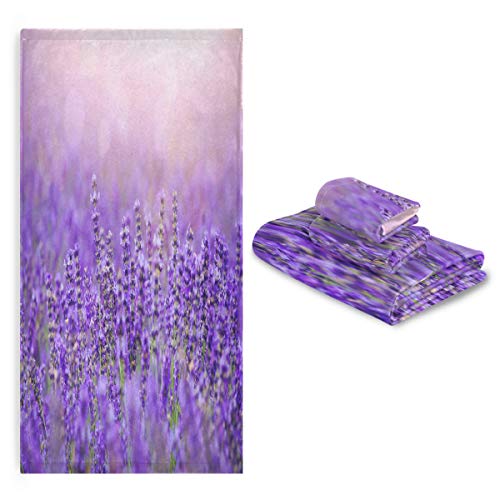 Purple Lavender Field