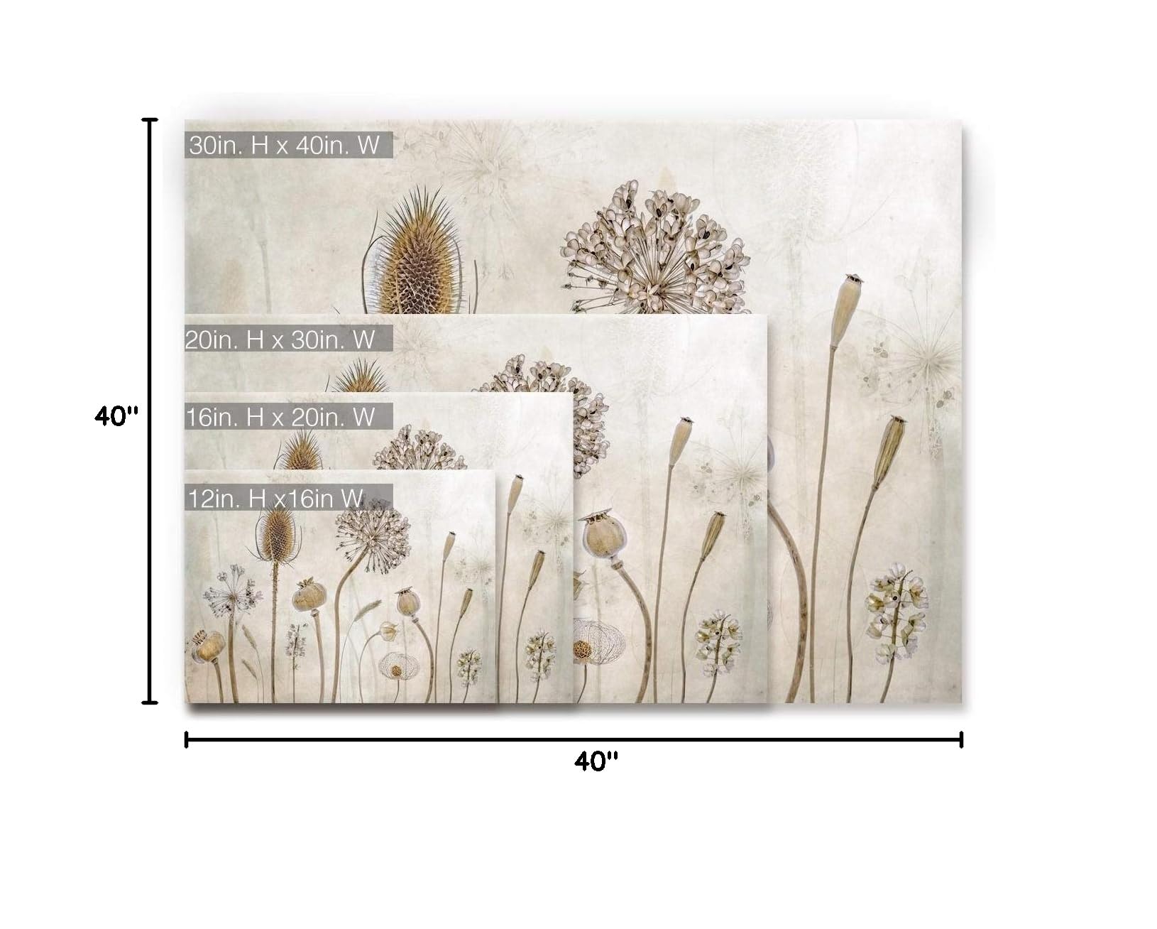 Ready2HangArt 'Growing Old' Floral Wrapped Canvas Wall Art - 30x40 Inches - Perfect for Living Room, Bedroom & Office Décor