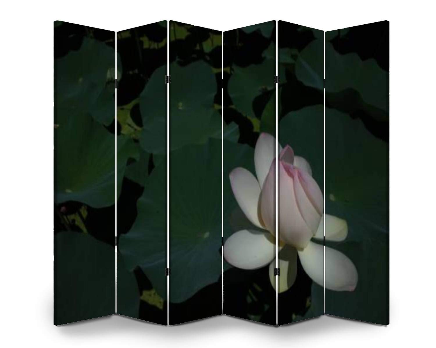 APED DECOR 6-Panel Wooden Room Divider - Lotus Pale Pink Folding Privacy Screen with Dual-Sided Canvas Panels for Home Office, Bedroom Partition & Indoor Display Shelves | Space-Saving Decorative Wall Divider