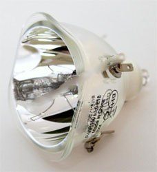 Technical Precision Replacement Projector TV Lamp Bulb - Compatible with Light Bulb/LAMP 103041 - Ideal for Home Theater, Office Presentations & Classroom Projectors