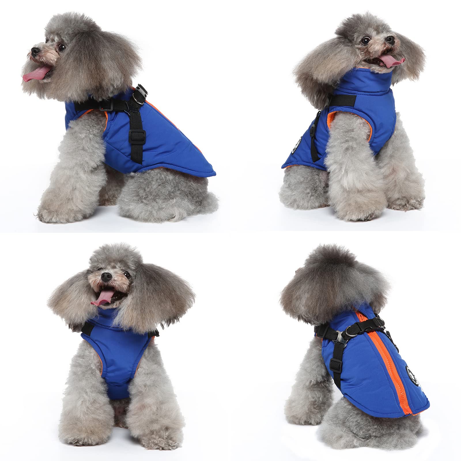 Dog Winter Coat with Zipper - Warm Fleece Jacket & Harness Vest for Small Medium Dogs (XS, Blue) - Perfect for Cold Weather Walks & Outdoor Adventures
