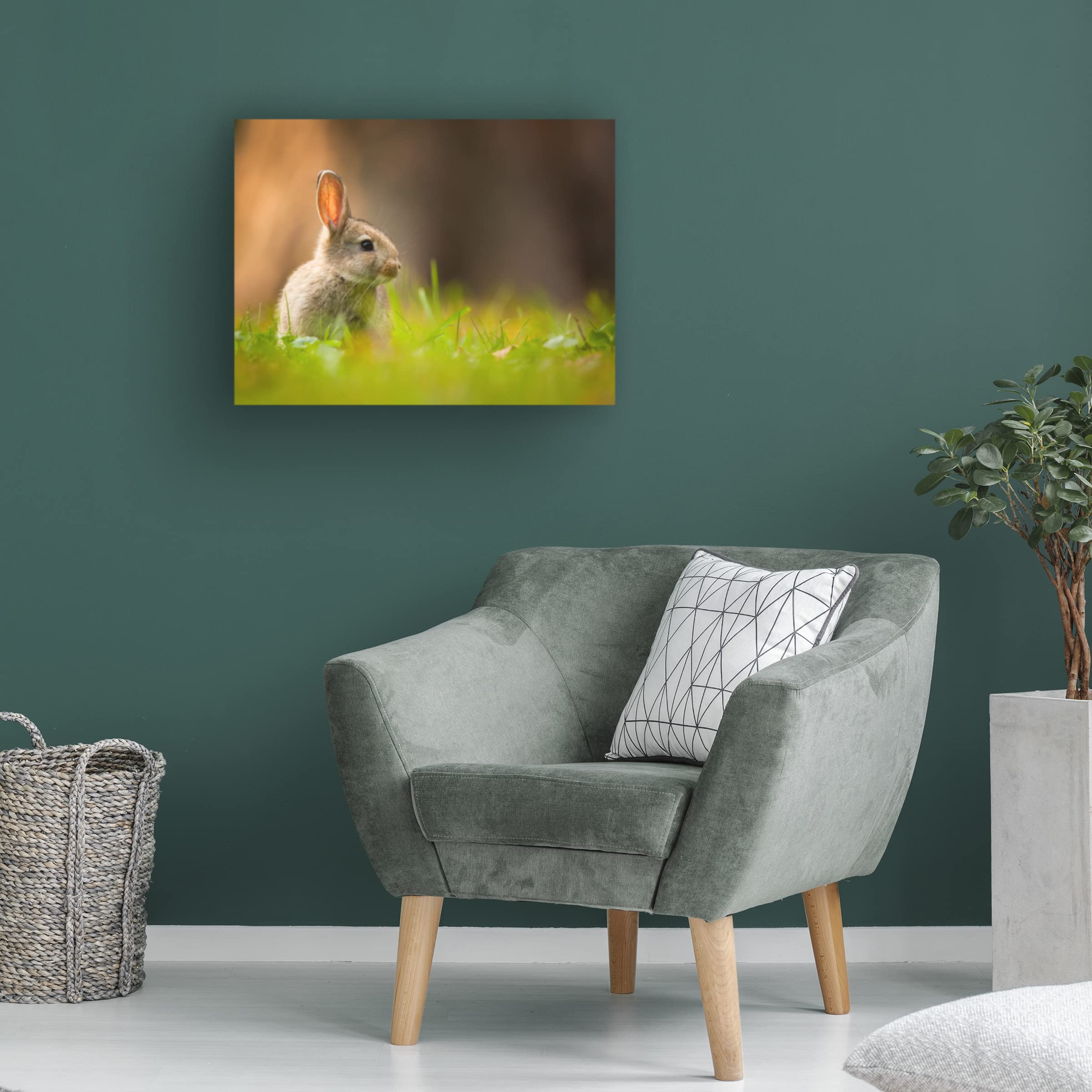 Robert Adamec 'Rabbit' Canvas Wall Art Print - Modern Home Decor for Living Room, Bedroom & Office - Trademark Fine Art Collection