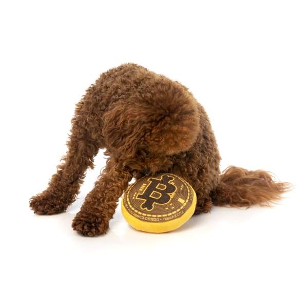 Fuzzyard Bite Coin Plush Dog Toy - Soft & Durable Chew Toy for Small & Medium Dogs, Interactive Play & Stress Relief - Perfect for Playtime, Training & Teething Puppies