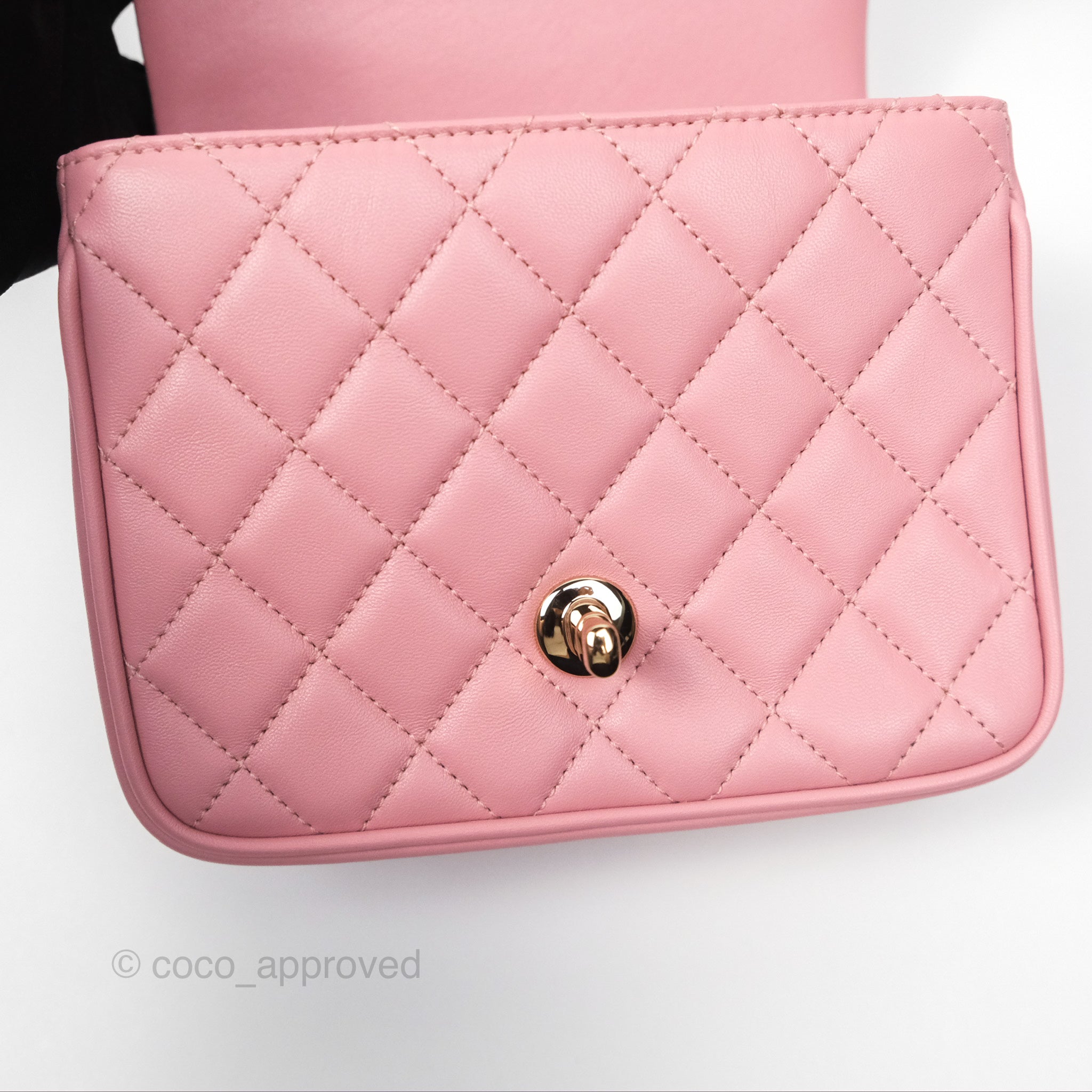 Chanel Citizen Chic Flap Bag in Pink Lambskin Leather with Gold Hardware - Luxury Crossbody Purse for Women, Perfect for Date Night & Special Occasions