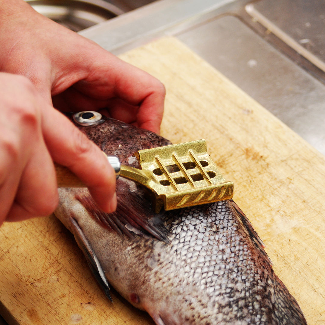 Premium Brass Fish Scaler with Side Wings - Professional Kitchen Tool for Effortless Descaling - Perfect for Home Chefs, Camping & Outdoor Cooking