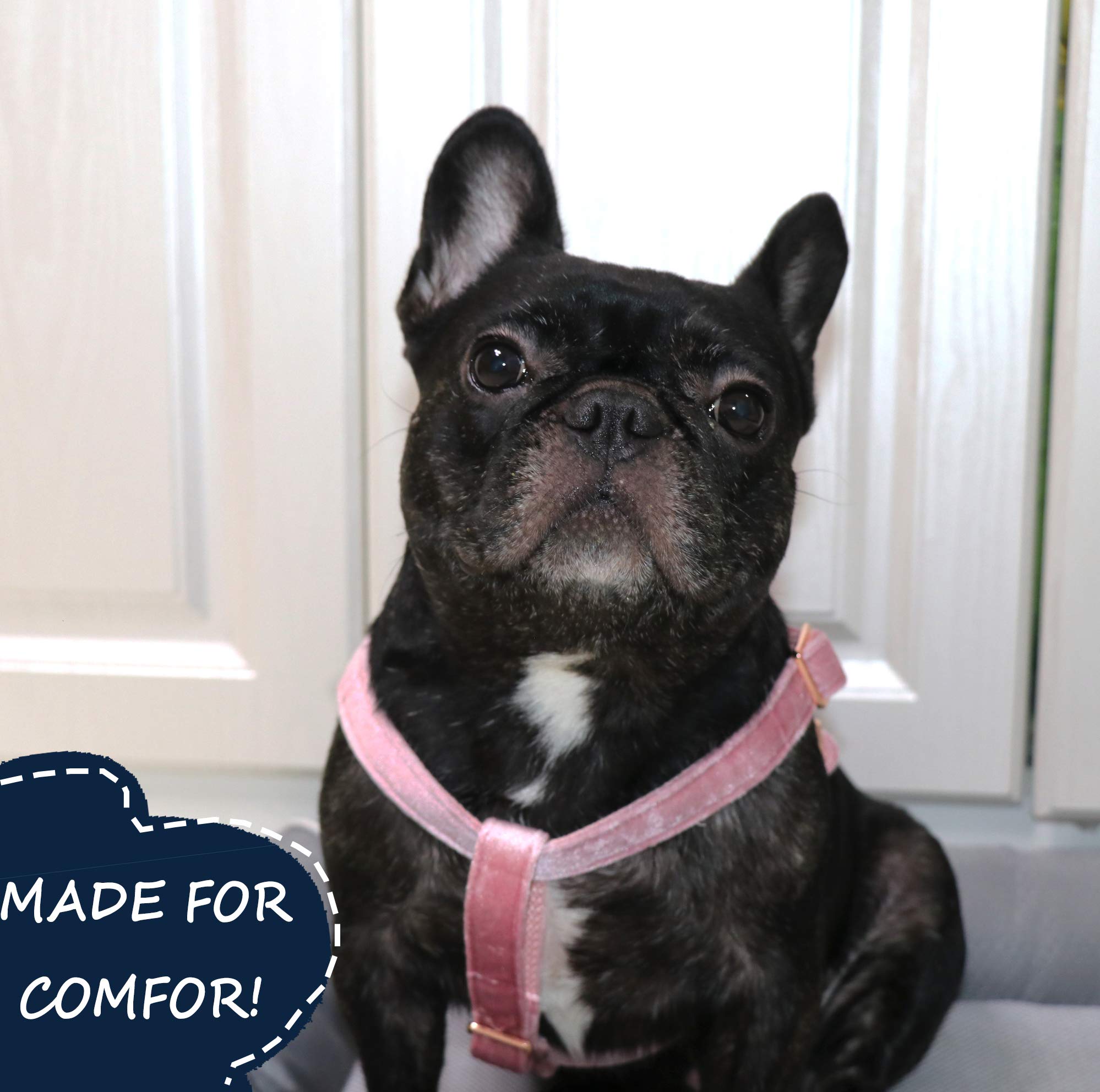 ARING PET Velvet No Pull Dog Harness - Adjustable Heavy Duty Vest for Small to Large Dogs - Perfect for Walking, Training & Outdoor Adventures