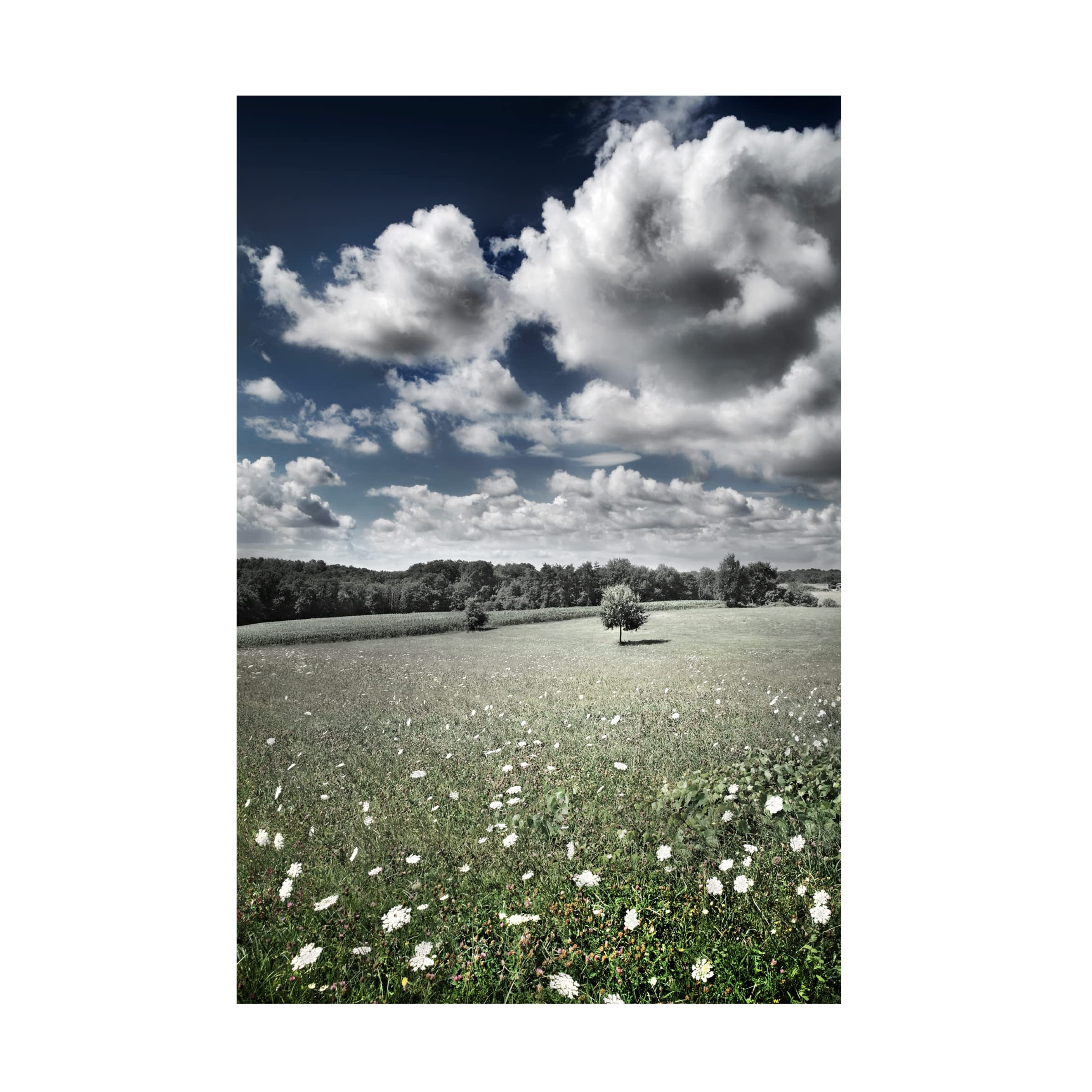 Ben Heine 'Meadow' Canvas Wall Art Print - Modern Landscape Painting for Living Room, Bedroom & Office Decor | Trademark Fine Art Collection