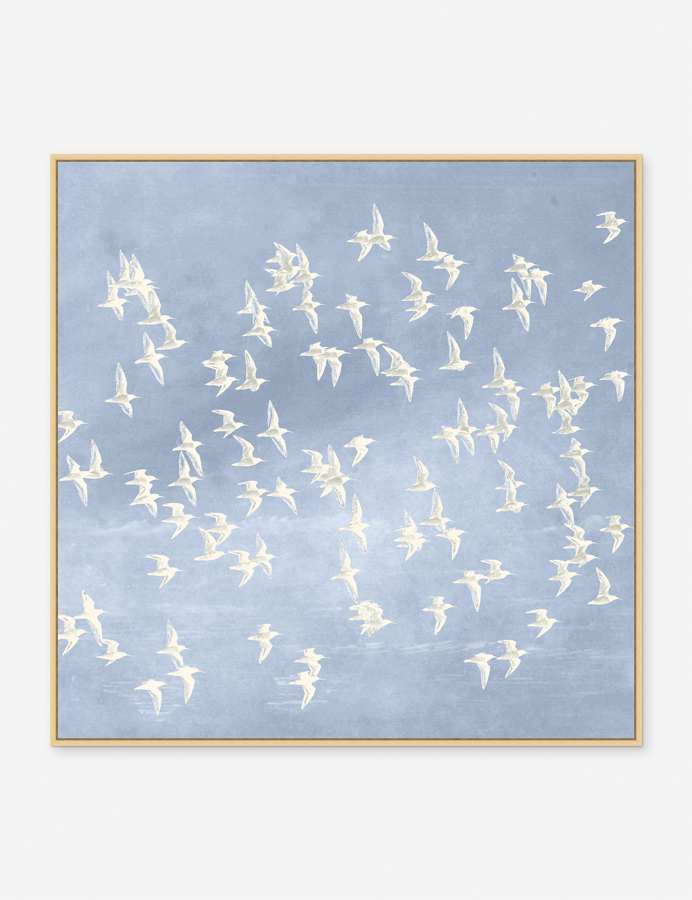 Blue Day Flight 1 Print - Premium Wall Art Decor for Home & Office - Perfect for Living Room, Bedroom, and Workspace Aesthetics