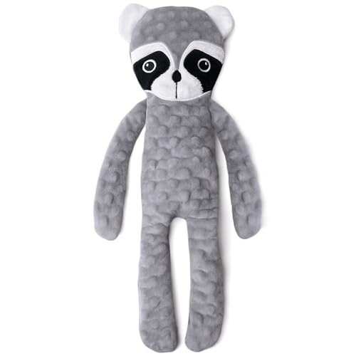 Raccoon