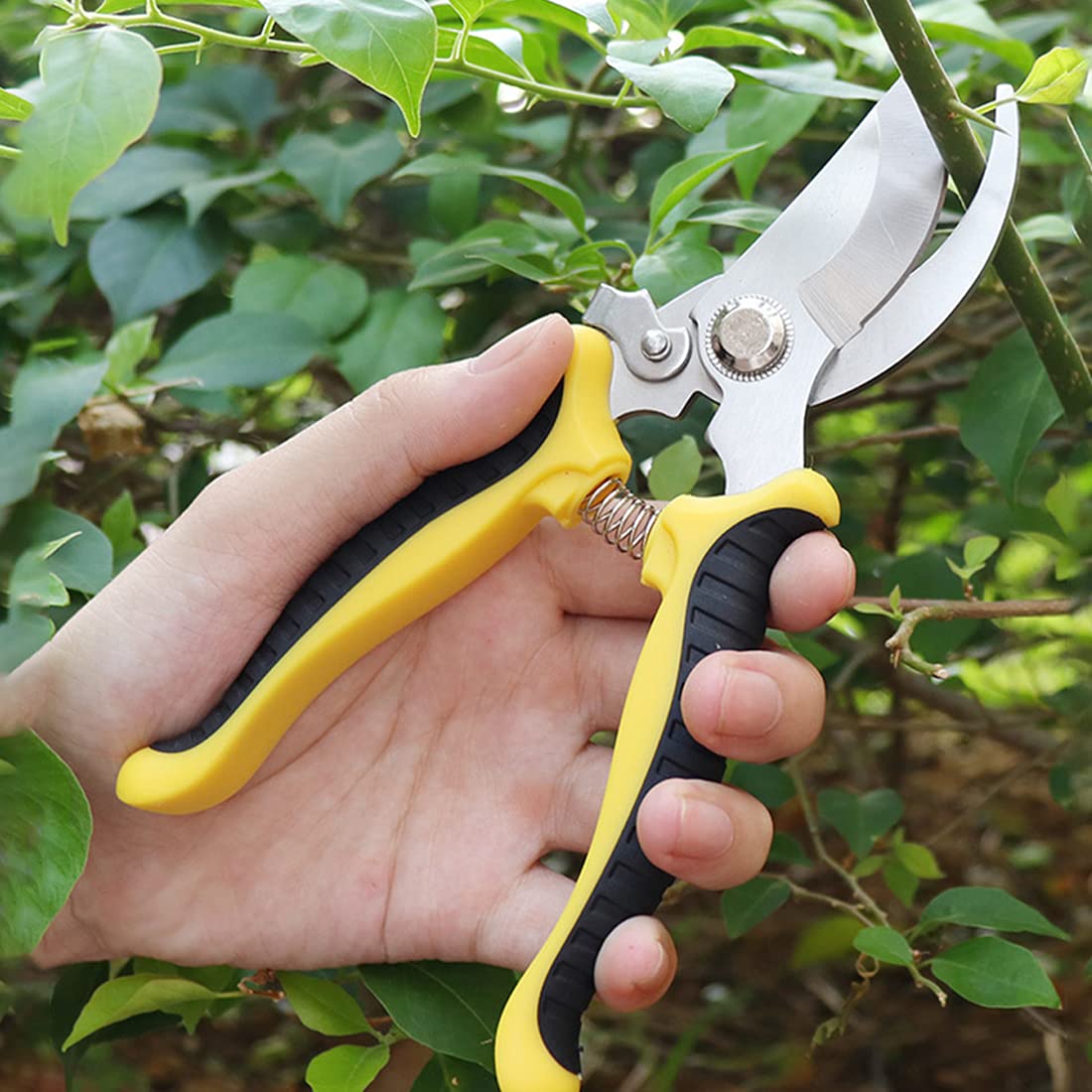Premium Stainless Steel Garden Pruning Shears - Bypass Pruners for Branches, Twigs, Flowers & Fruit Plants - Ergonomic Design for Gentle Trimming - Perfect for Gardening, Landscaping & Outdoor Plant Care