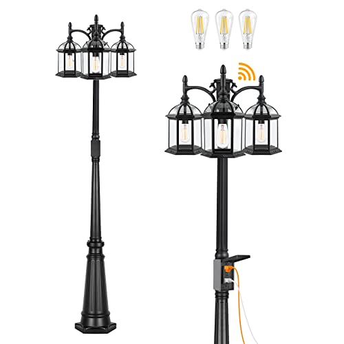 Birdcage Black