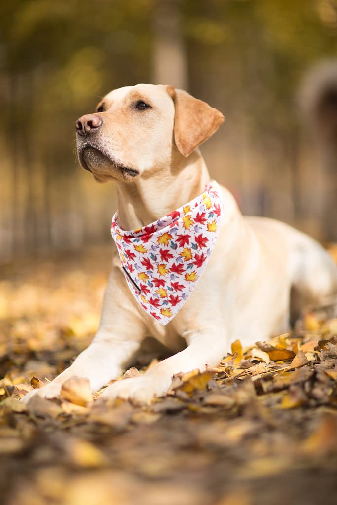 Lionet Paws Fall Dog Bandana for Small Medium Large Dogs - Autumn Pet Scarf for Cats & Dogs - Cozy Triangle Kerchief Bib for Puppies & Kittens - Perfect for Halloween, Thanksgiving & Outdoor Adventures