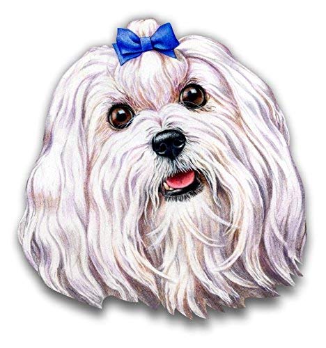 Waterproof Maltese Car Decals Stickers - 5