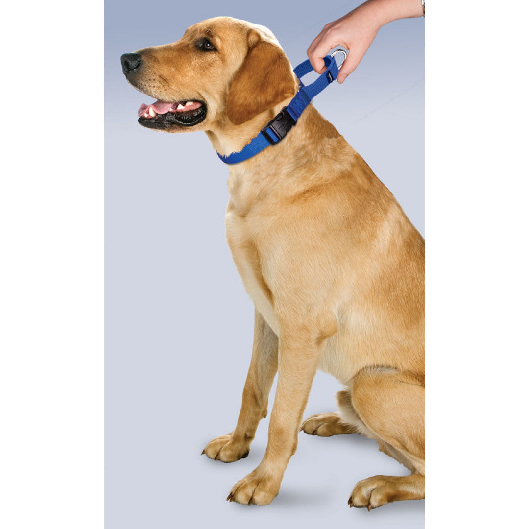 Martingale Premier Dog Collar with Quick Release Buckle - Navy Blue | Adjustable Training Collar for Medium & Large Dogs | Perfect for Walking, Training & Outdoor Adventures
