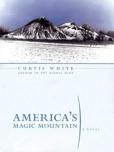 America's Magic Mountain (Lannan Selection) - Award-Winning Literary Fiction Novel for Book Clubs & Contemporary Literature Lovers