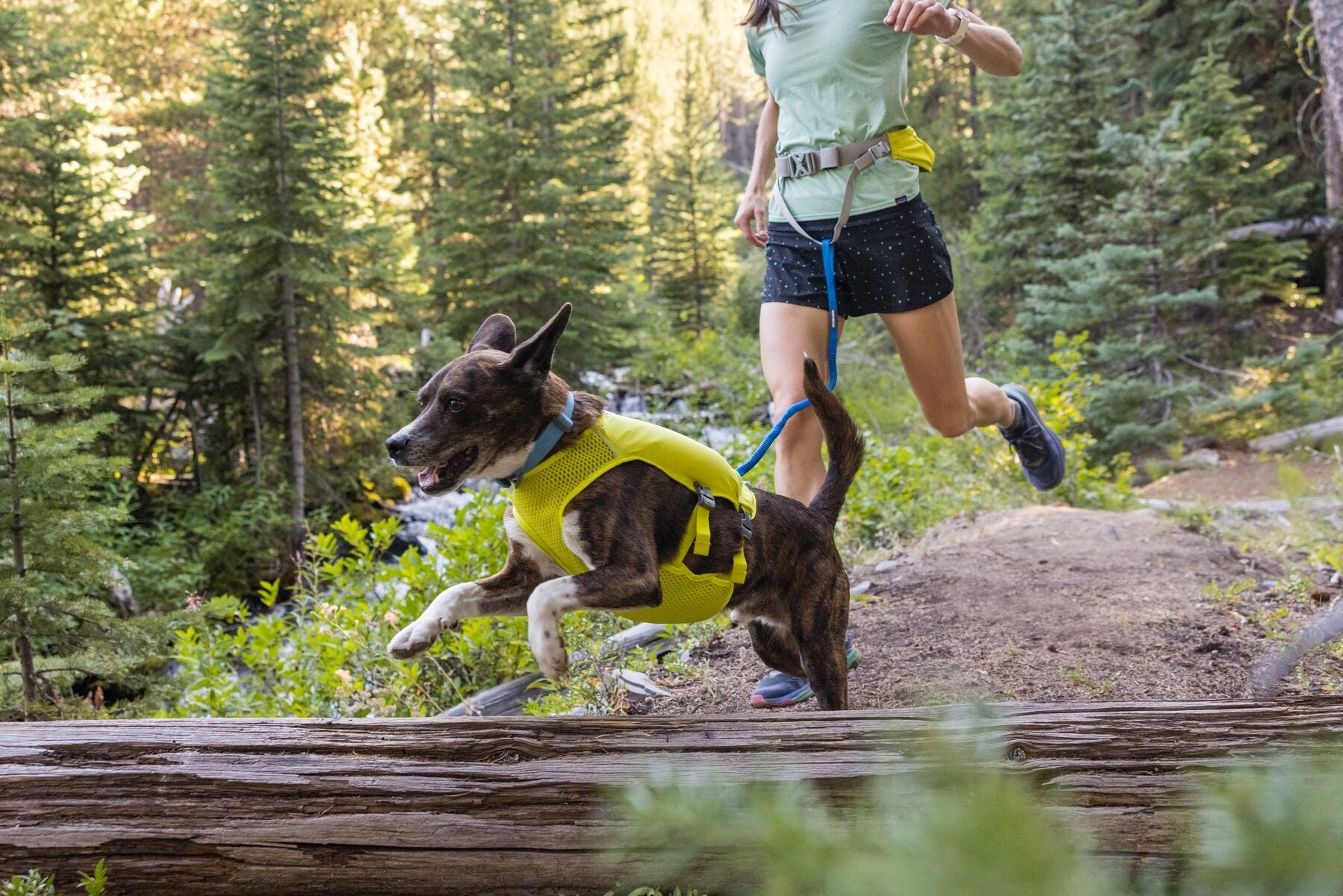 Ruffwear Dog Running Vest - Reflective Trail Runner Harness for Dogs in High-Visibility Lichen Green - Perfect for Hiking, Jogging & Outdoor Adventures