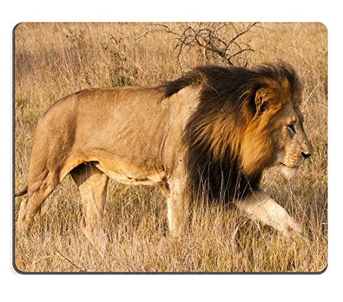 Premium Gaming Mouse Pad with Natural Rubber Base - Lion in Grass Design for Smooth Tracking | Large Non-Slip Mouse Mat for PC, Laptop, Office & Gaming Setup | Perfect for Work, Gaming & Graphic Design
