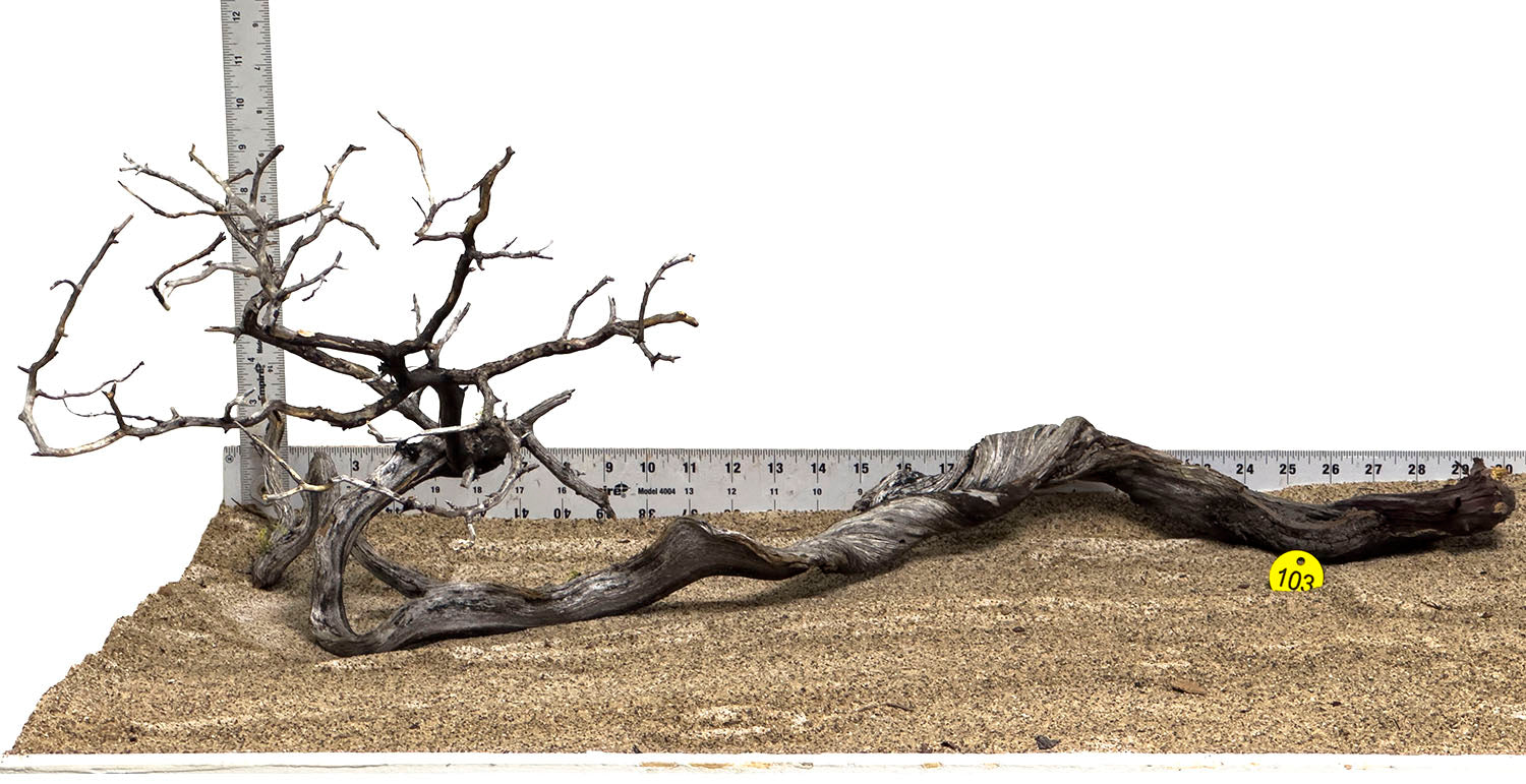 Natural XL Manzanita Wood Branches for Reptile Terrariums, Aquariums, and Home Decor - WYSIWYG #103Y